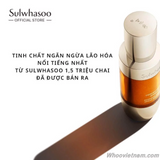 Tinh Chất Nhân Sâm chống lão hóa, Cải thiện nếp nhăn Sulwhasoo Concentrated Ginseng Renewing Serum - Mini size 8ml