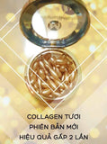 Viên tinh chất collagen tươi JM Collagen