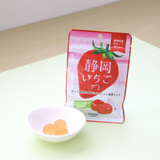 Kẹo Dẻo Trái Cây Bổ Sung Lợi Khuẩn Cho Đường Ruột Kaneka Foods Lactic Acid Gummy Candy - Vị Dâu Tây