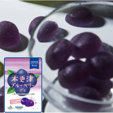 Kẹo Dẻo Trái Cây Bổ Sung Lợi Khuẩn Cho Đường Ruột Kaneka Foods Lactic Acid Gummy Candy - Vị Việt Quất