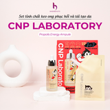 Set Tinh Chất Keo ong phục hồi và tái tạo làn da CNP Laboratory Propolis Energy Ampule