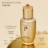 Sample Tinh Chất Tự Sinh Chống Lão Hoá, Tái Sinh Làn Da Whoo Bichup Self-Generating Anti-Aging Concentrate (120 gói x 1ml=120ml)