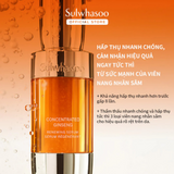 Tinh Chất Nhân Sâm Chống Lão Hóa Sulwhasoo Concentrated Ginseng Renewing Serum mini size - 5ml