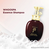 Sample Dầu gội thảo dược Đông y Whoo Spa Essence Shampoo (100 gói x 8ml = 800 ml )