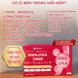 Nước uống bổ sung collagen NMN & DNA 39000+ Collagen Enrich Nuvis trẻ hoá làn da, tăng cường sức khoẻ, chống lão hoá hiệu quả