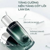 Set Tinh chất chống lão hóa, căng bóng mịn màng OHUI Prime Advancer De-Aging Ampoule Seẻum - Tặng 1 lỏi