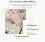 Dầu Gội nước hoa số 1  Jmella in France Blooming Peony - Hương cam quýt và mẫu đơn