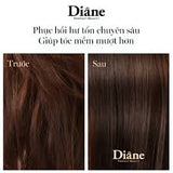 Combo Dầu Gội & Dầu Xả Phục Hồi Tóc Hư Tổn, Chắc Khoẻ, Mềm Mại Moist Diane Extra Damage Repair